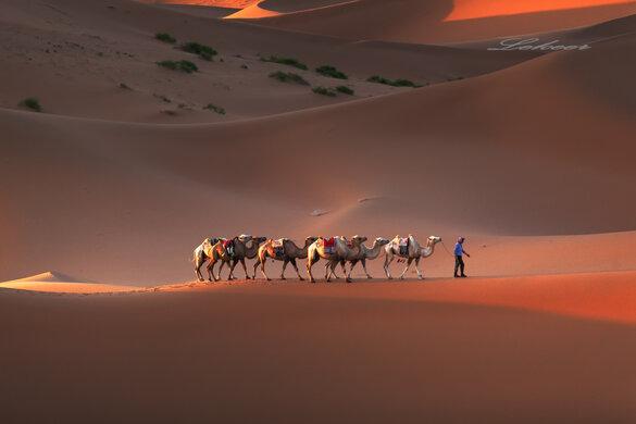 Trải nghiệm độc đáo: Du lịch sa mạc Trung Quốc