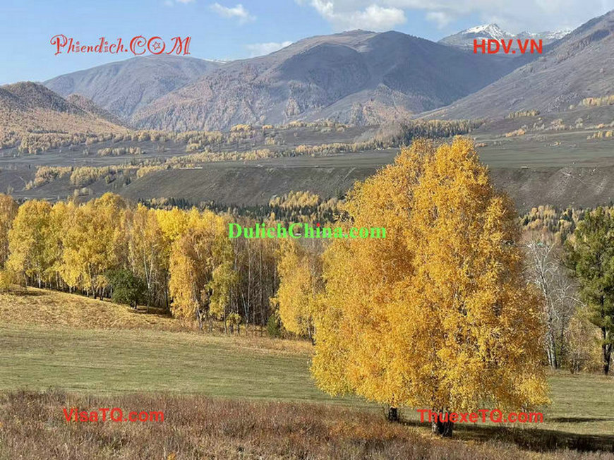 huong_dan_vien_bac_kinh47